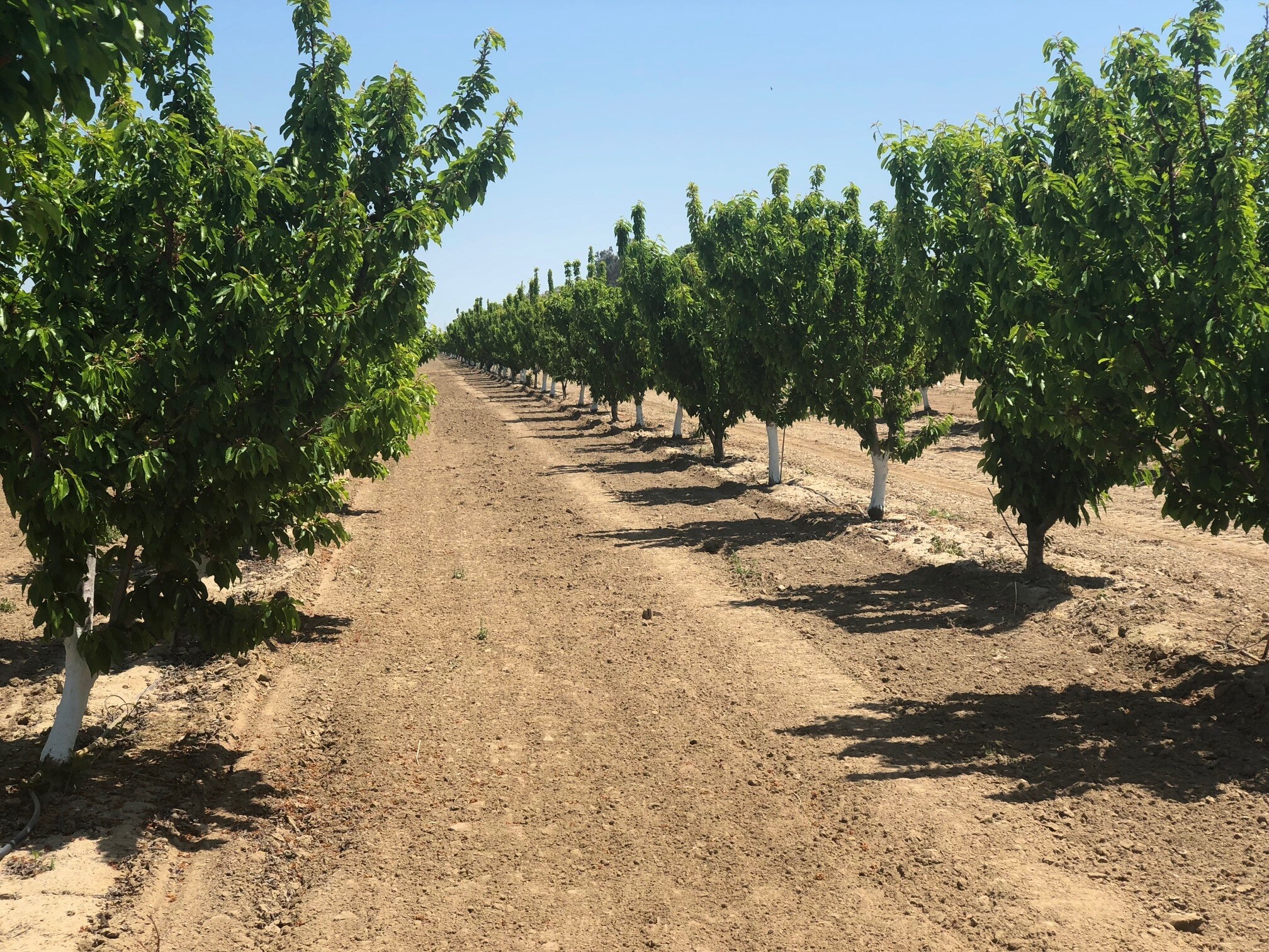 Hanford Armona Road, Hanford, CA for sale Primary Photo- Image 1 of 4