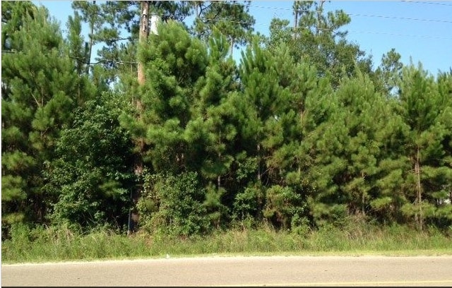 63380 Old Military Rd, Pearl River, LA for sale - Primary Photo - Image 3 of 6