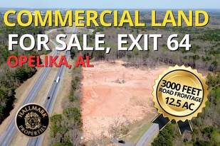 12.5 Acres on Interstate 85 Opelika, AL - Motel