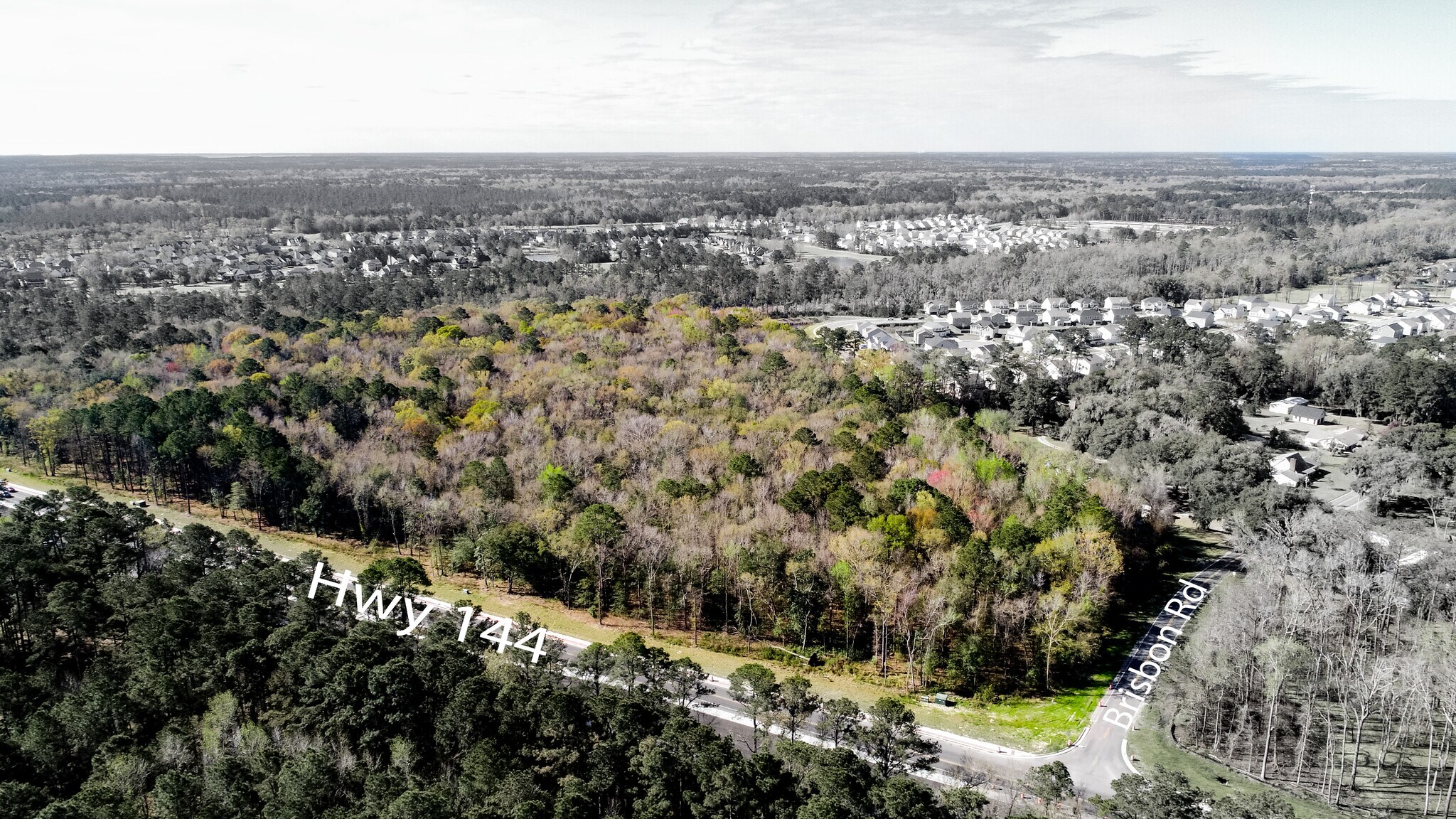 000 Highway 144, Richmond Hill, GA 31324 32.67 Acres on Highway 144