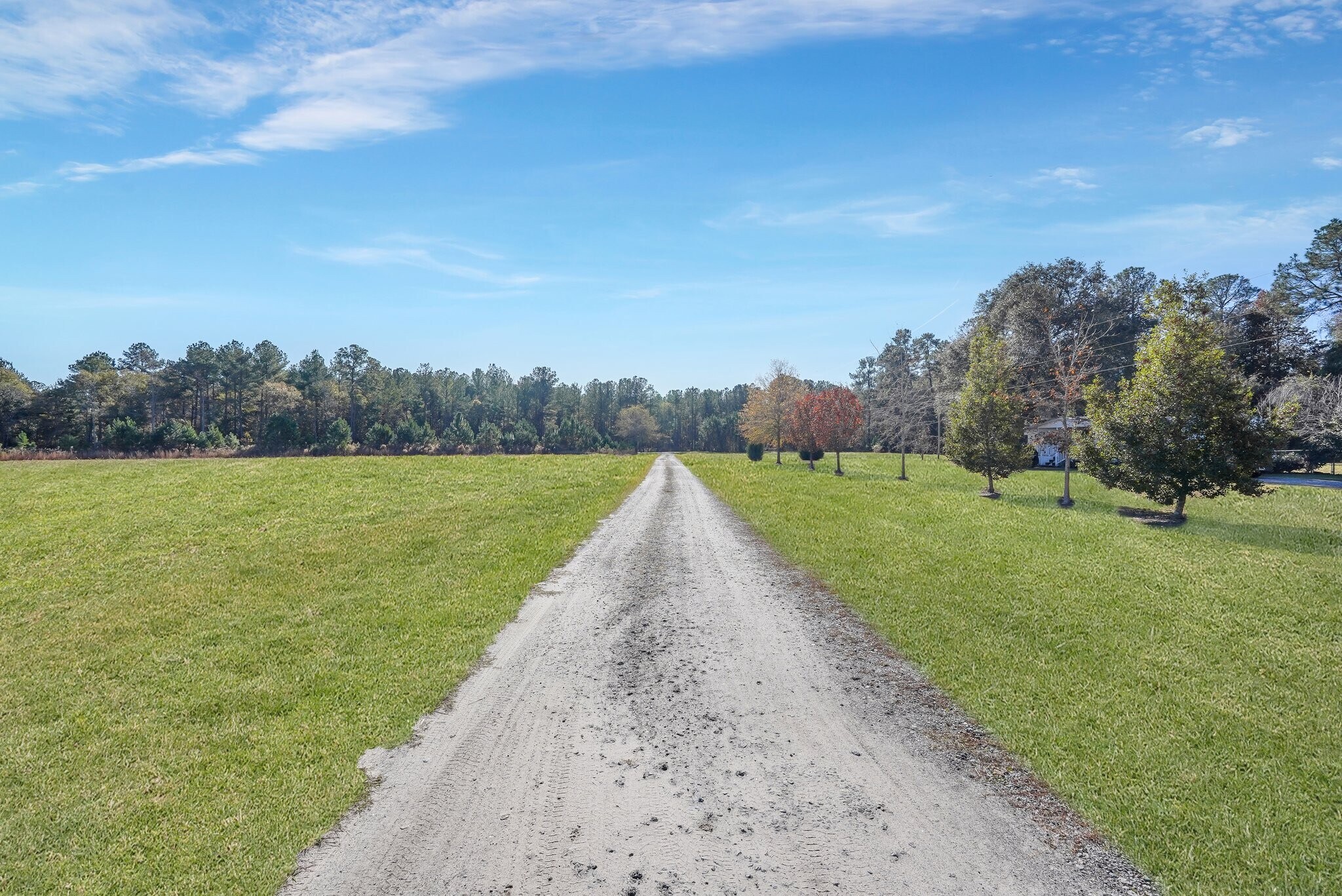 5185 Old Groveland Rd, Nevils, GA 31321 Land for Sale