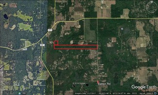 More details for 00 Batten Rd, Brooksville, FL - Land for Sale