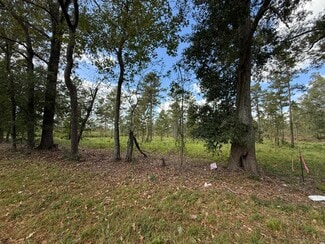 More details for LOT 5 HWY 33 hwy, Centreville, MS - Land for Sale