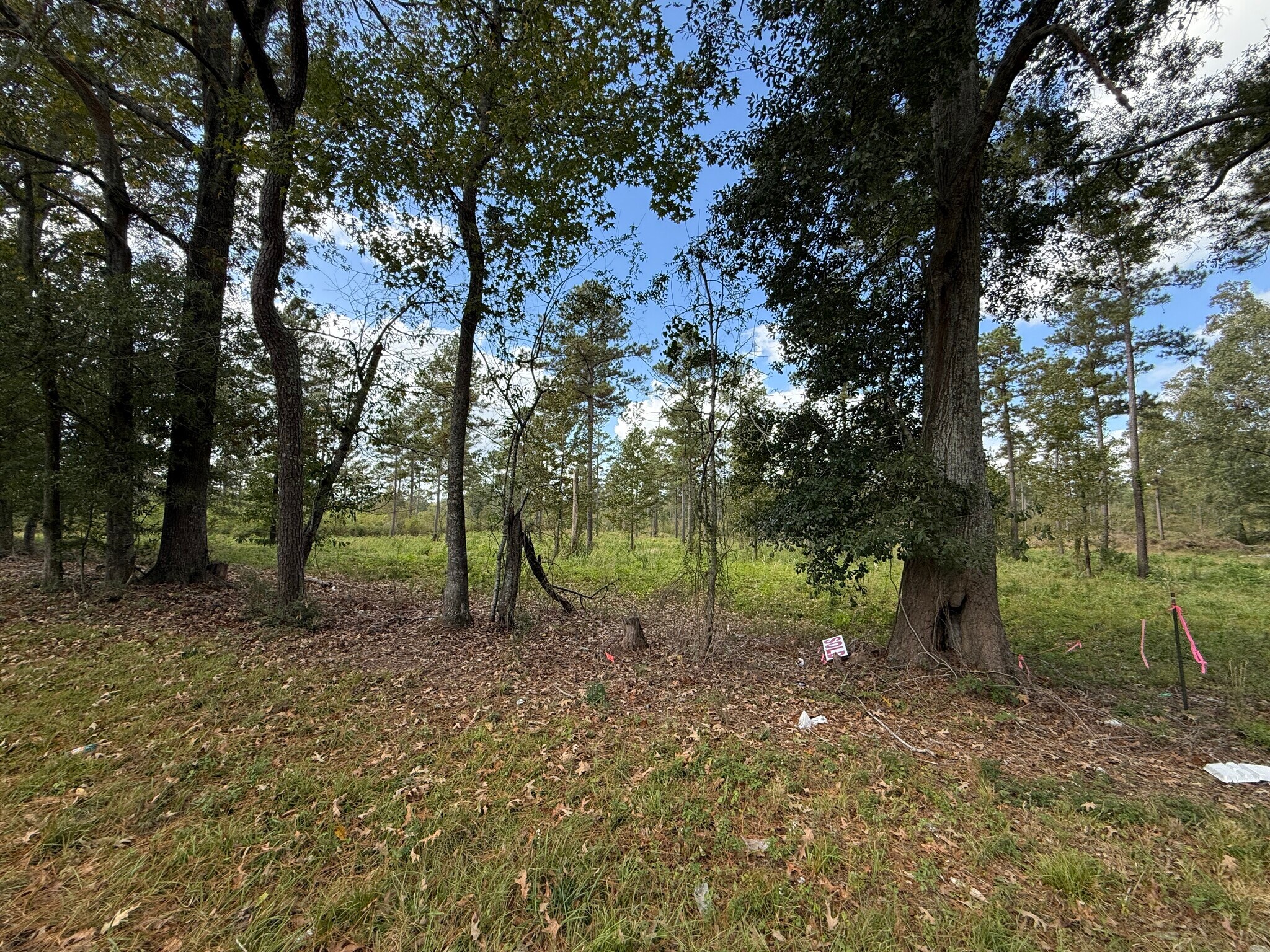 LOT 5 HWY 33 hwy, Centreville, MS for sale Primary Photo- Image 1 of 7