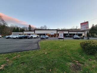 More details for 38 Route 303, Tappan, NY - Retail for Lease