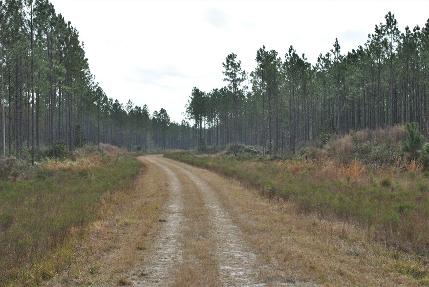 Old Kings Rd, Jacksonville, FL for sale - Primary Photo - Image 1 of 1