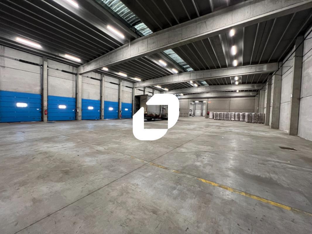 Flex in Roncq for lease Interior Photo- Image 1 of 18