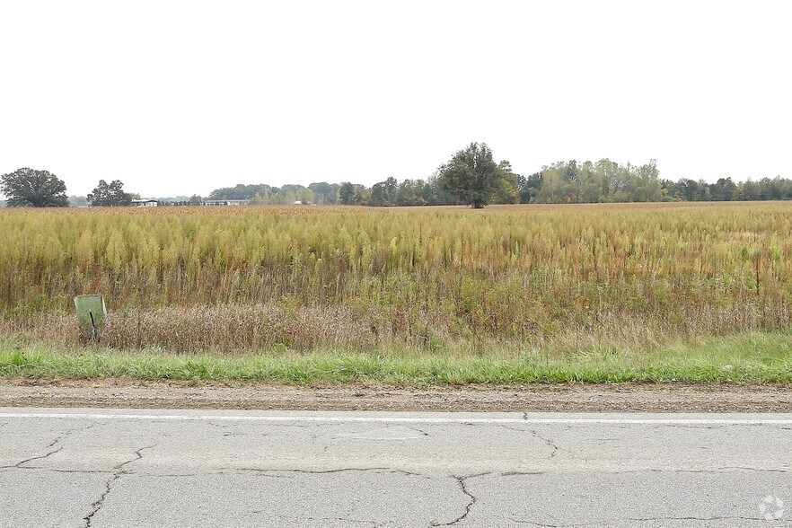 Van Dyke Ave, Almont, MI 48003