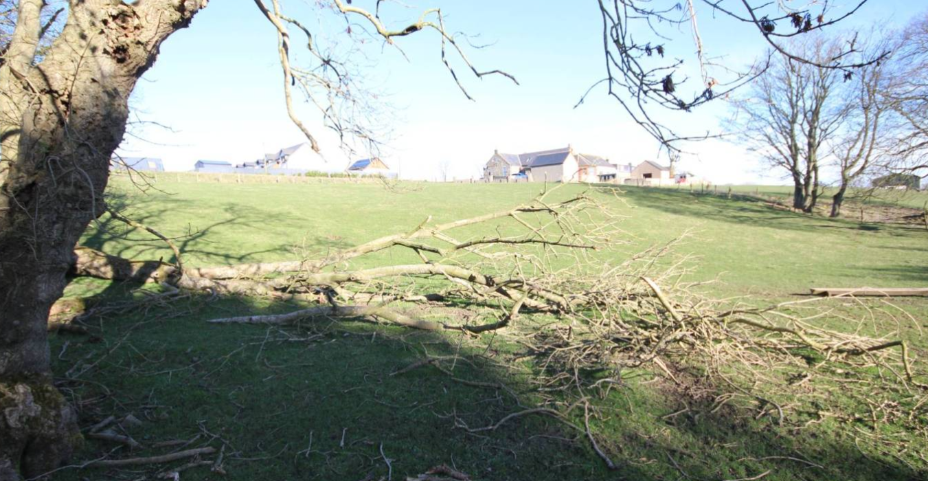 Site adjacent to Hall Cottage, Keswick for sale Primary Photo- Image 1 of 2