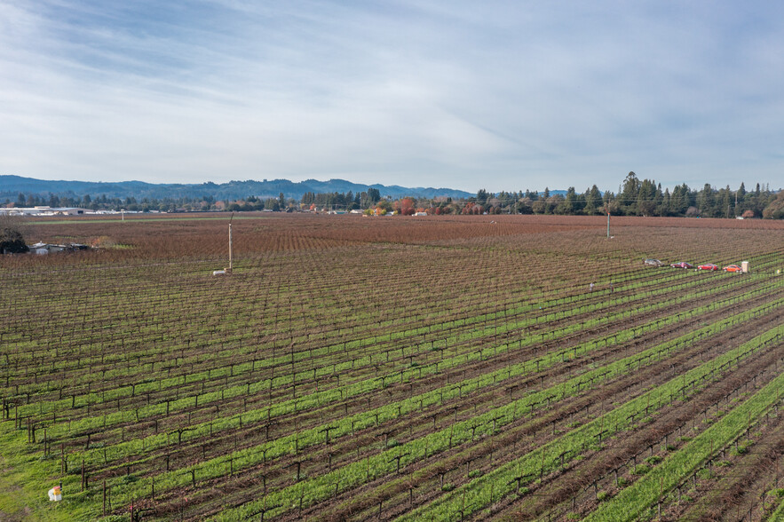 657 Grant ave, Healdsburg, CA for sale - Primary Photo - Image 2 of 15