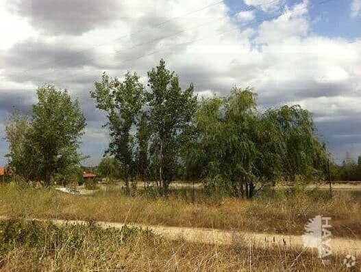 Lugar Olivar Grande, Escalona, Toledo for sale - Primary Photo - Image 1 of 1