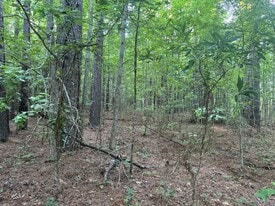 40 AC on Beau Pre Country Club Golf Course - Golf Course