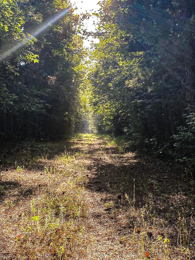 Lincoln Parish Land Package Dubach, LA for Sale