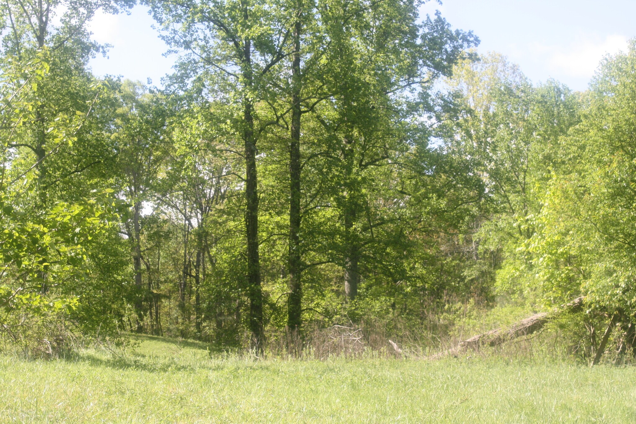 3720 McEver Rd, Oakwood, GA 30566 14 Acres City of Oakwood, Hall