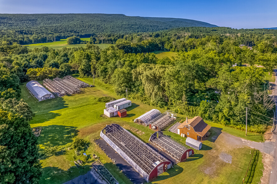 6797 Route 209, Kerhonkson, NY for sale - Primary Photo - Image 1 of 1