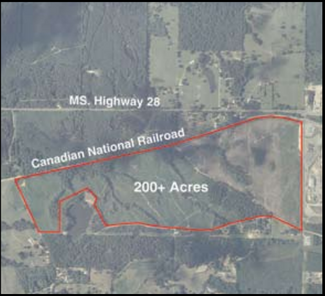 More details for HIGHWAY 28 WEST TAYLORSVILLE WOODS PRODUCTS SITE, Taylorsville, MS - Land for Sale