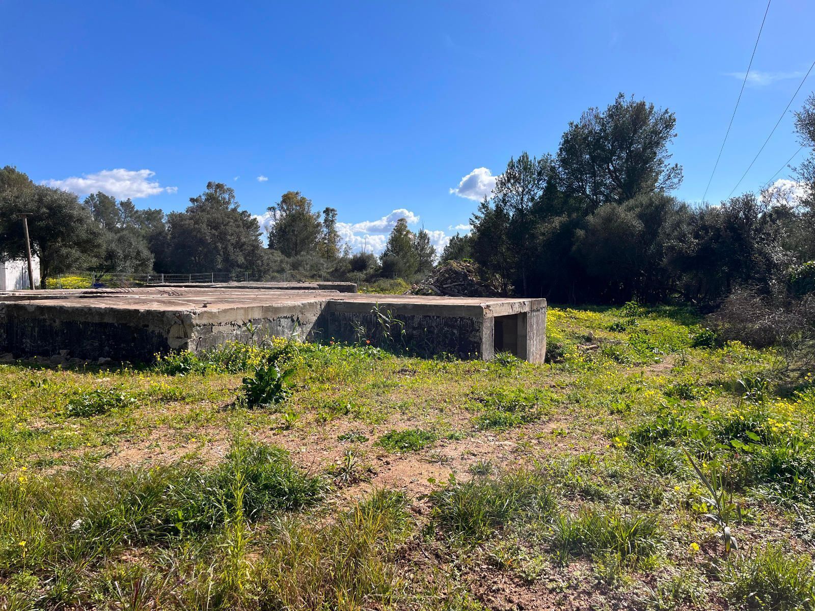 Land in Sa Pobla, Islas Baleares for sale Construction Photo- Image 1 of 14