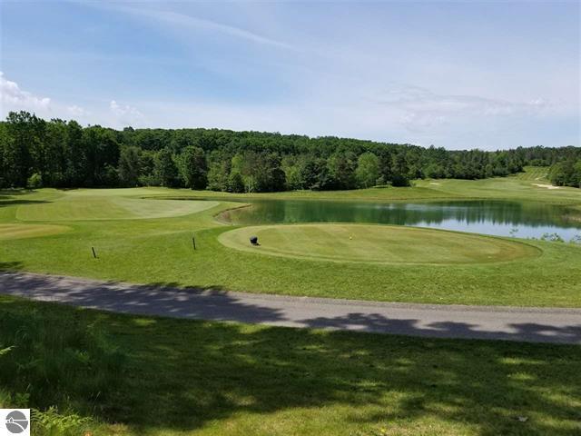 000 Hawk's Eye Dr. -1, Bellaire, MI for sale Primary Photo- Image 1 of 1