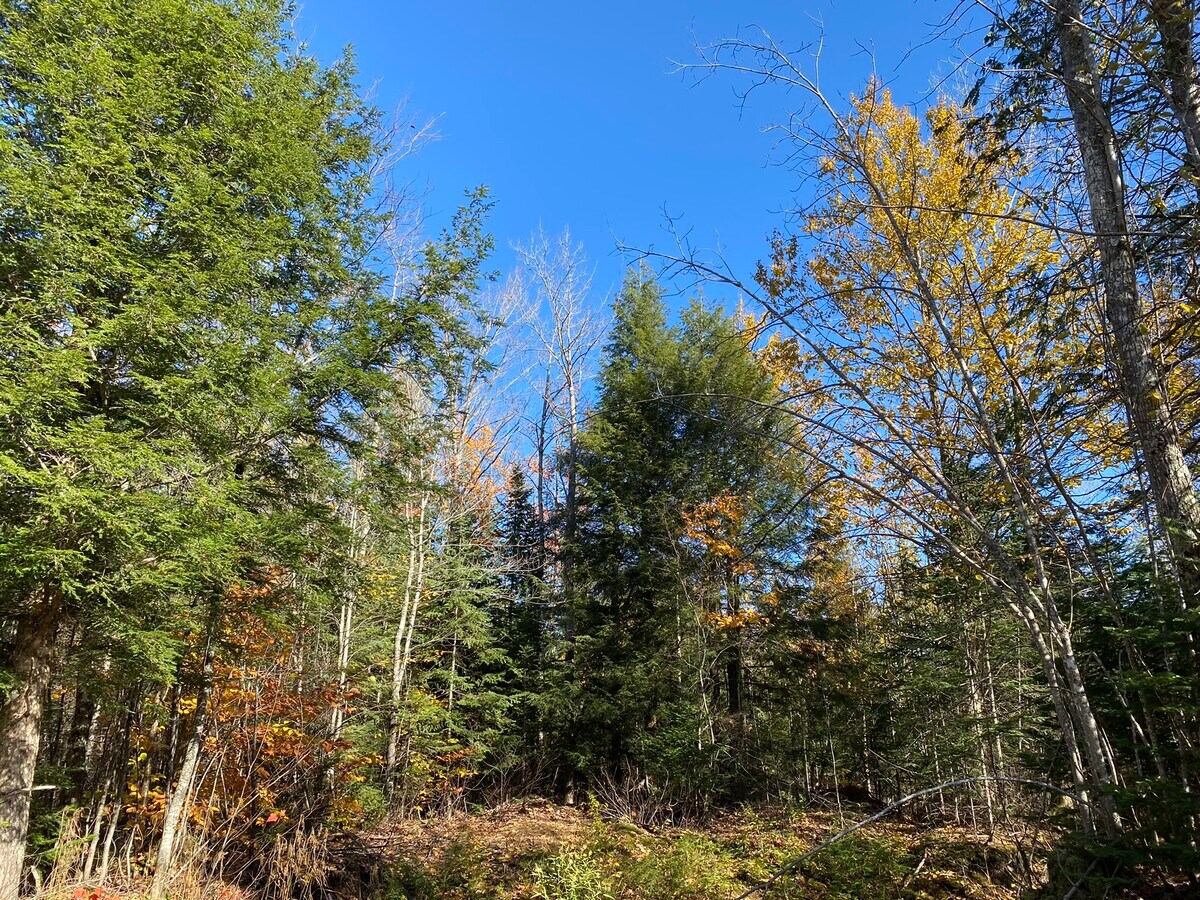 TBD Billie Helmer, Deerton, MI 49822 Land for Sale