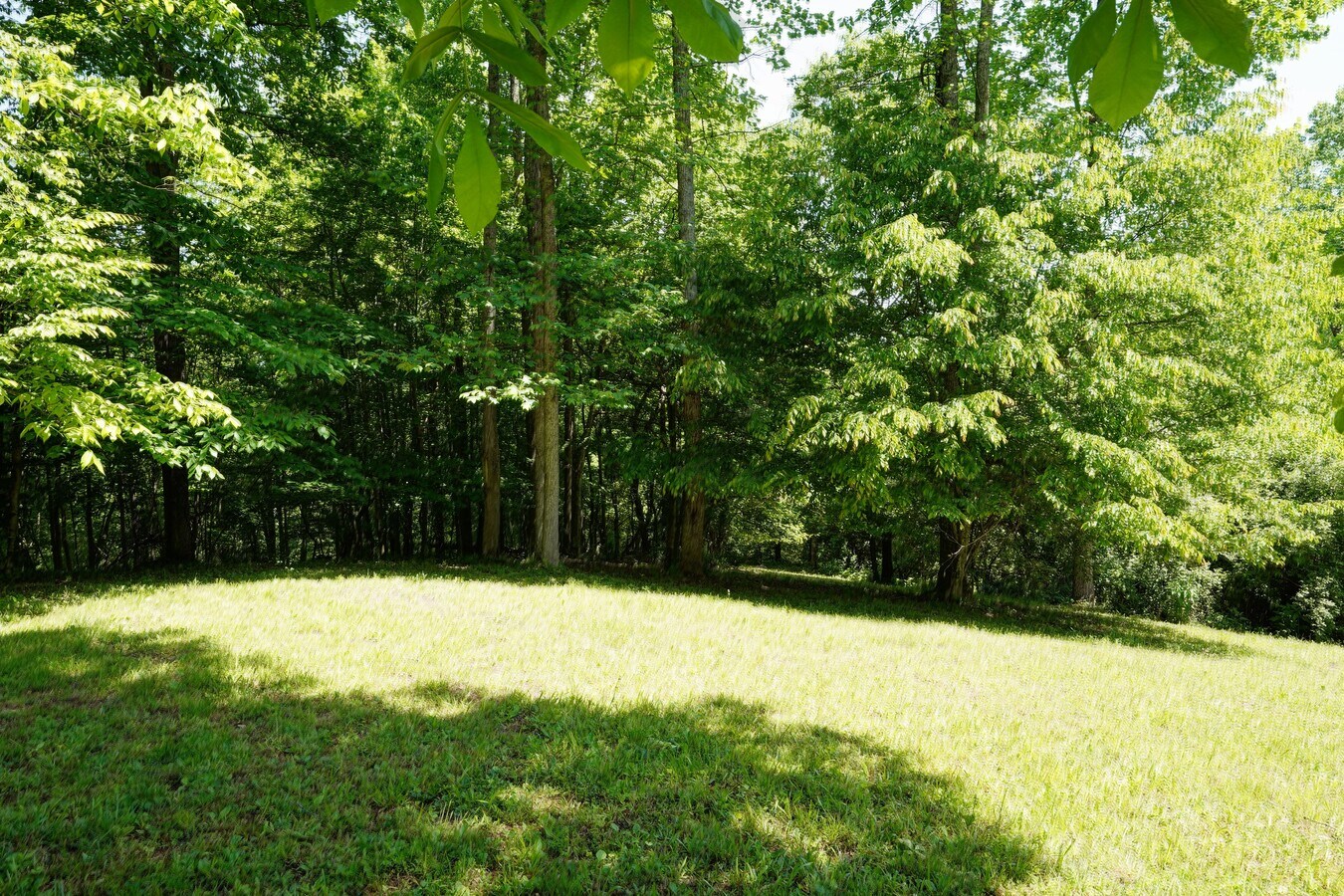 View Photo