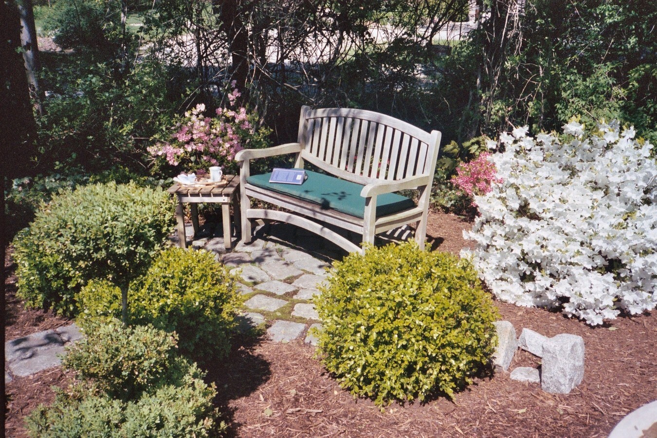 View Photo