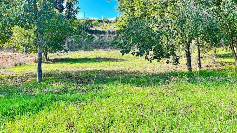 Land in Córdoba, Córdoba for sale - Building Photo - Image 2 of 5