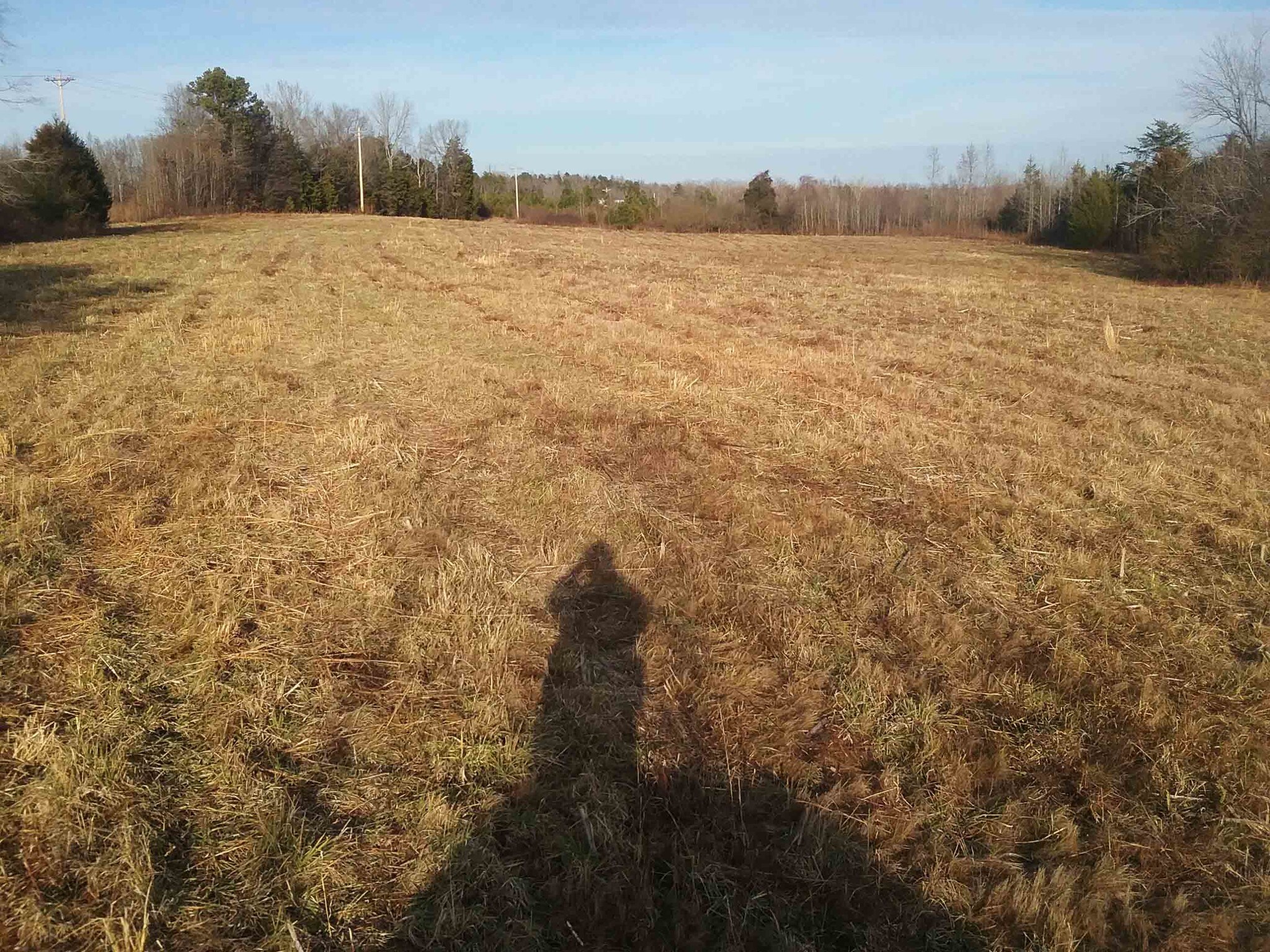 7706 Atkins Rd, Mebane, NC for sale Other- Image 1 of 1