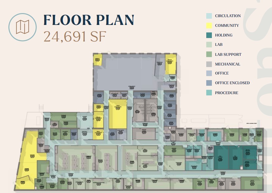 45 Moulton St, Cambridge, MA for lease Floor Plan- Image 1 of 1