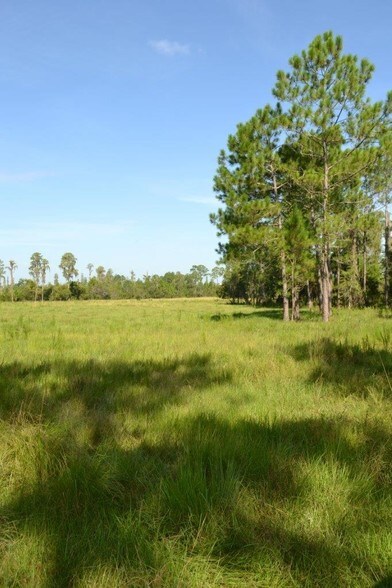 3039 Robin Hood Ln, Clermont, FL for sale - Primary Photo - Image 1 of 1