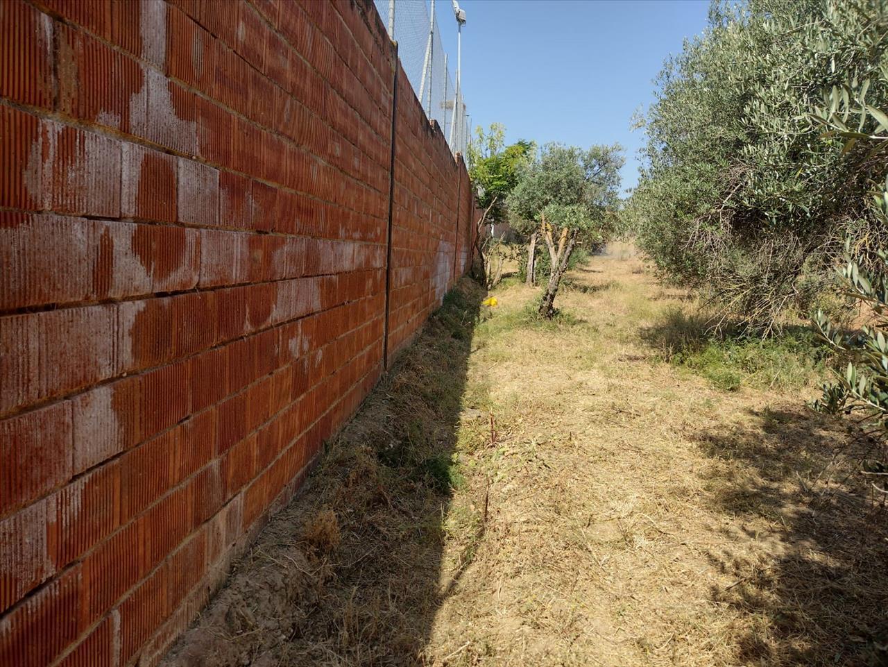 Land in Pilas for sale Building Photo- Image 1 of 18