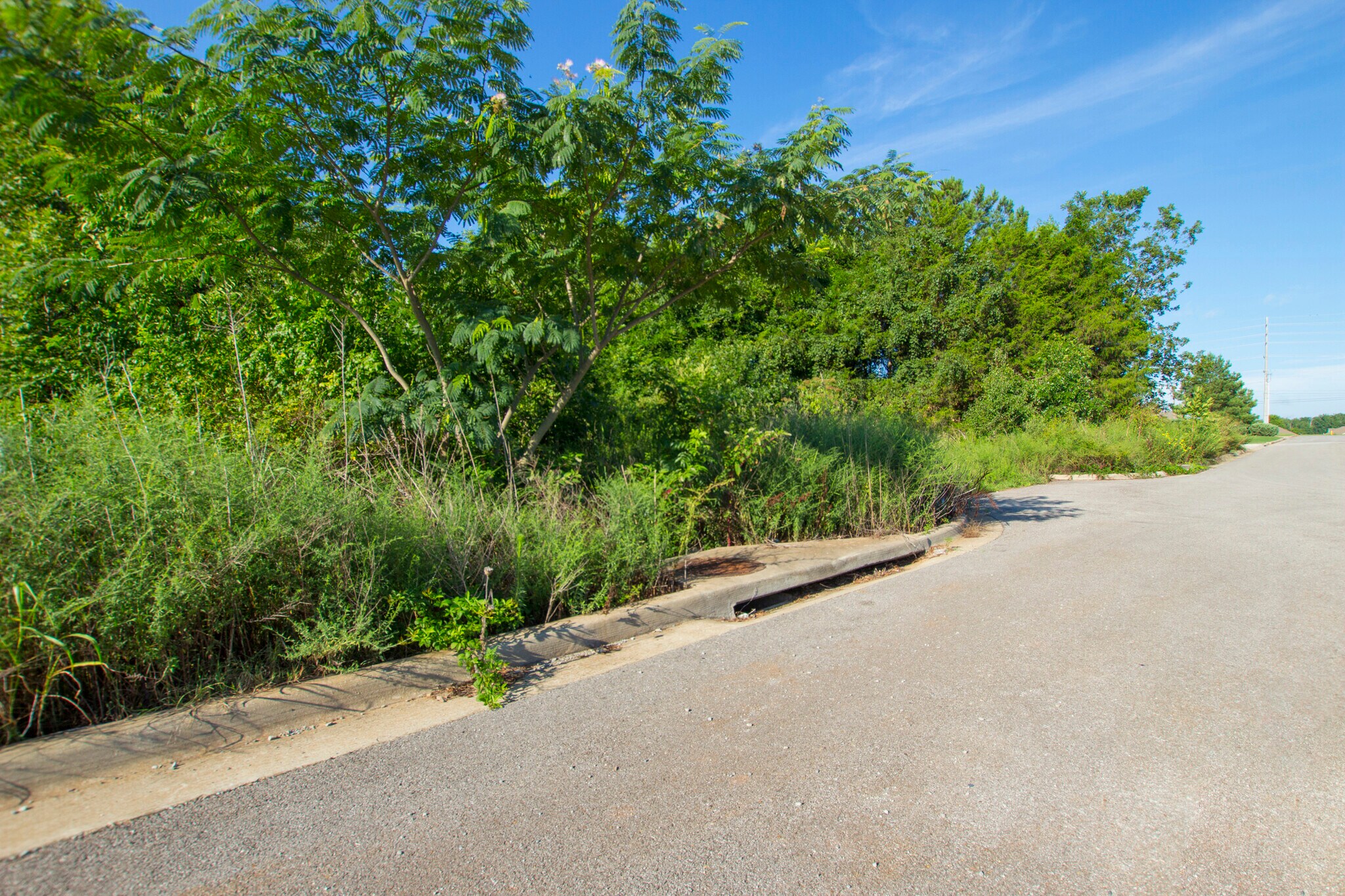 10849-A County Line Road, Madison, AL for sale Other- Image 1 of 2