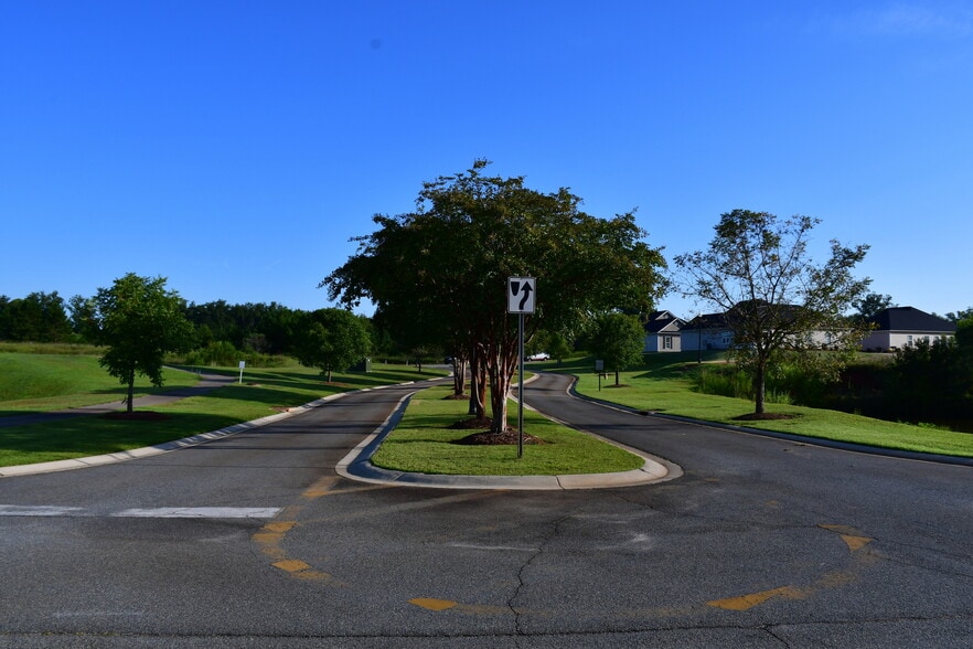 South Houston Springs Boulevard, Perry, GA for sale - Building Photo - Image 3 of 17