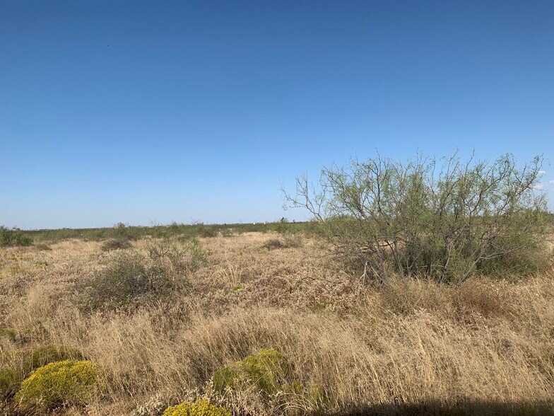 2148 FM 1208, Stanton, TX for sale - Primary Photo - Image 1 of 1