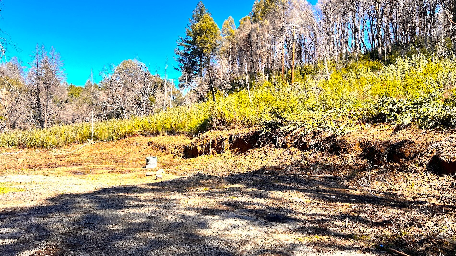 11035 Empire Grade, Bonny Doon, CA 95060 Land for Sale