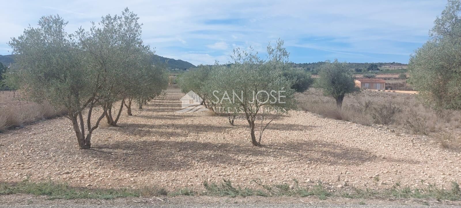 Land in Alicante for sale Building Photo- Image 1 of 3