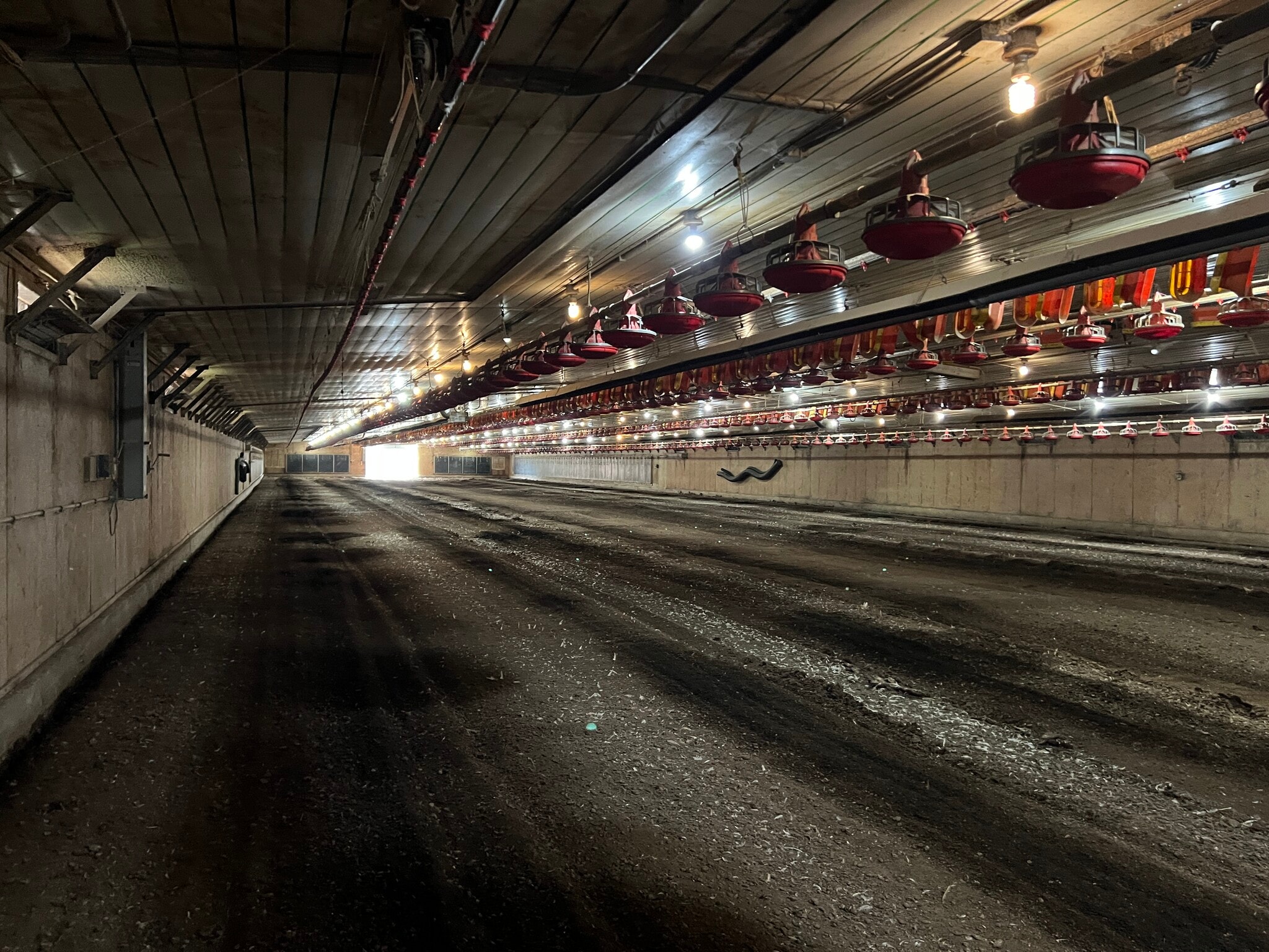 25398 AL Highway 71, Flat Rock, AL for sale Primary Photo- Image 1 of 11