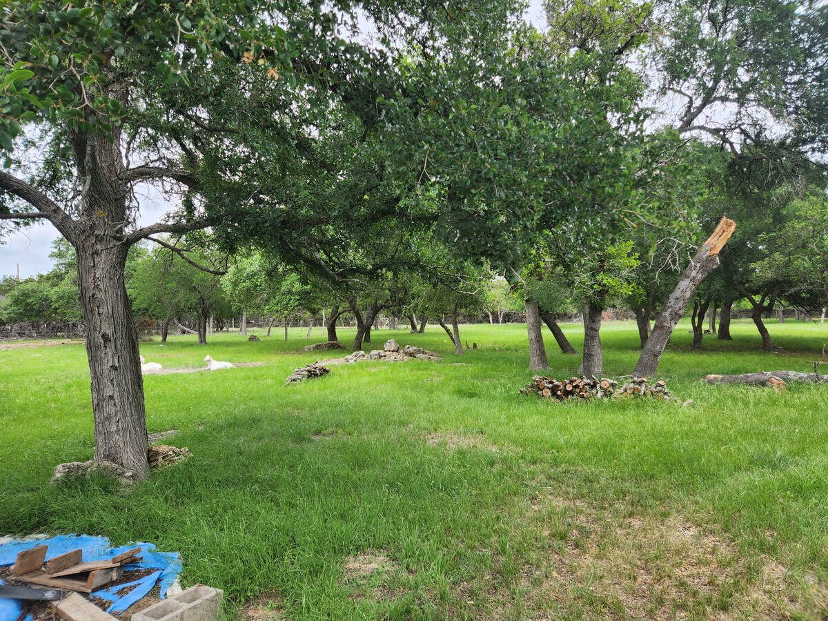 3401 County Road 287, Liberty Hill, TX 78642