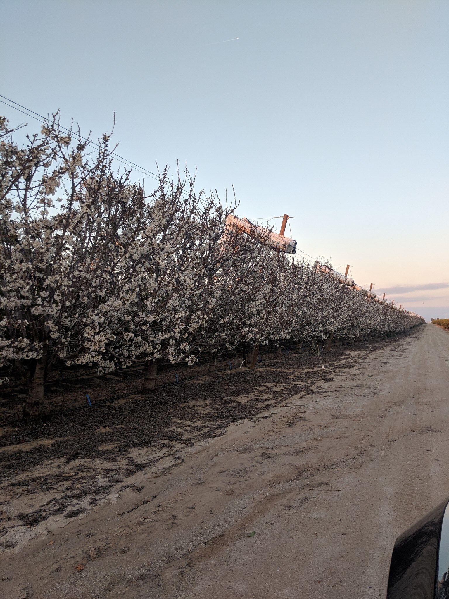 10544 Copus Rd, Bakersfield, CA for sale Primary Photo- Image 1 of 1