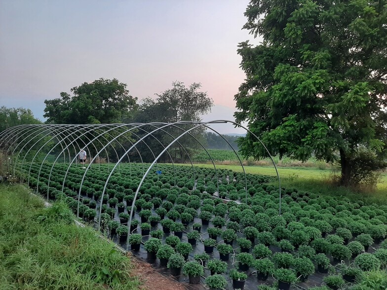 1814 Iron Bridge Rd, Hustontown, PA for sale - Building Photo - Image 3 of 44