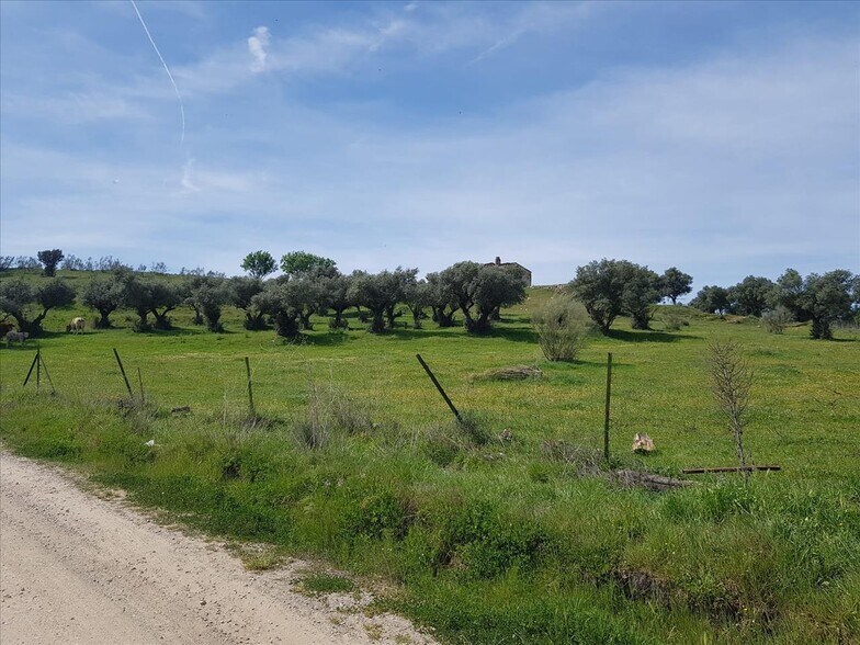 Land in Plasencia for sale - Building Photo - Image 3 of 13