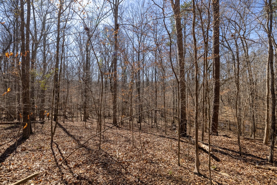 0 Fontainbleau Dr, Conyers, GA for sale - Other - Image 3 of 9