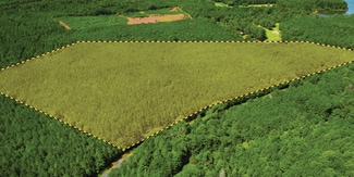 More details for Saddle Club, Plum Branch, SC - Land for Sale