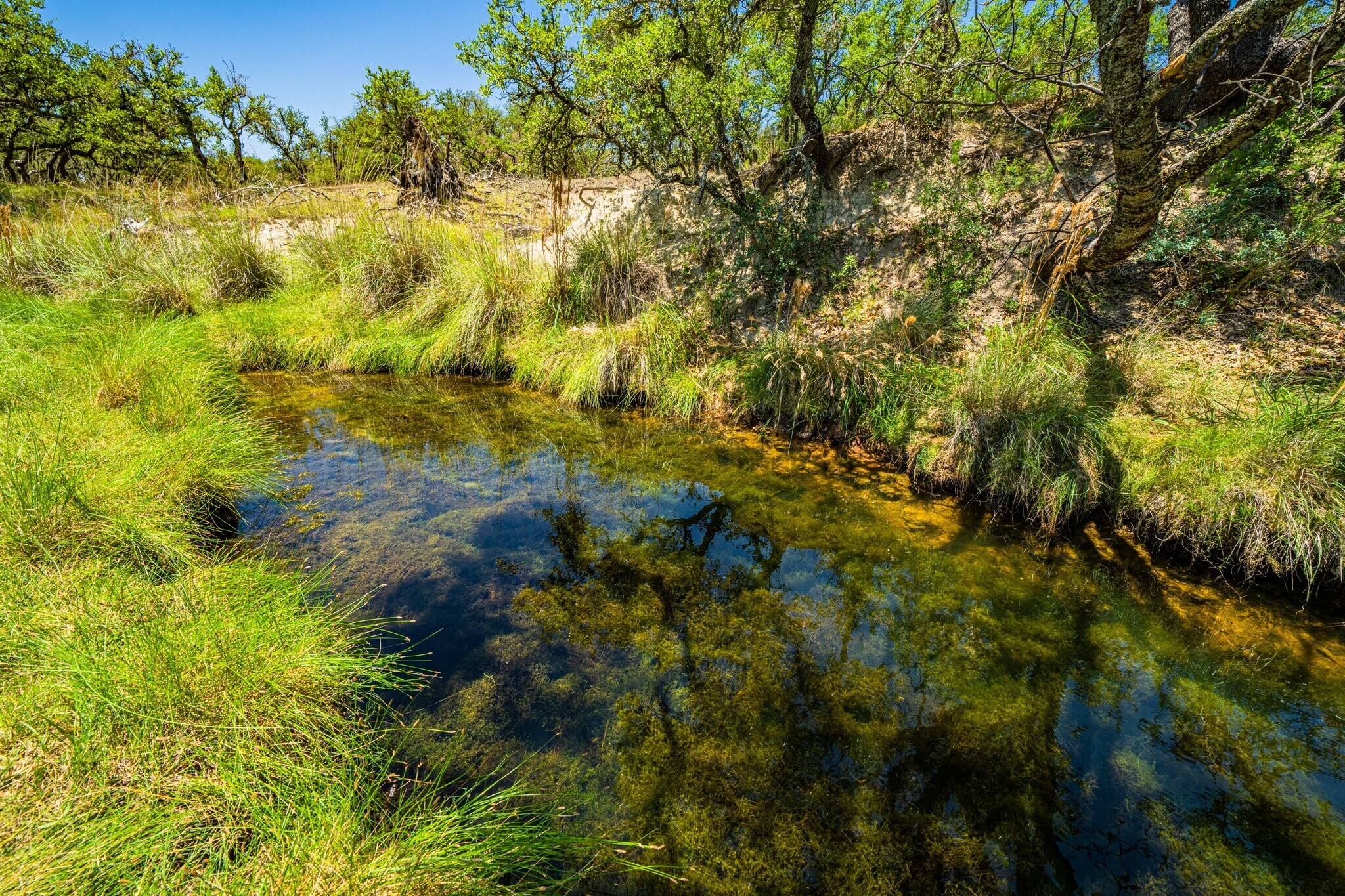 944 Metzger Rd, Fredericksburg, TX for sale Building Photo- Image 1 of 1