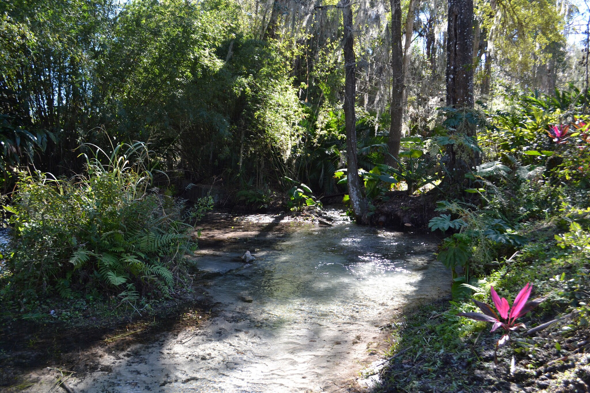 27106 Robertson Rd, Yalaha, FL 34797