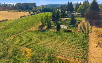 21360 SW HILLSBORO HWY - Barndominium