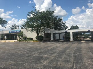 More details for 486 W Liberty St, Wauconda, IL - Office/Medical for Lease