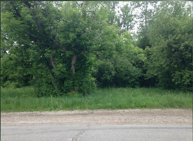 Whitmore Lake Rd, Whitmore Lake, MI for sale Building Photo- Image 1 of 1