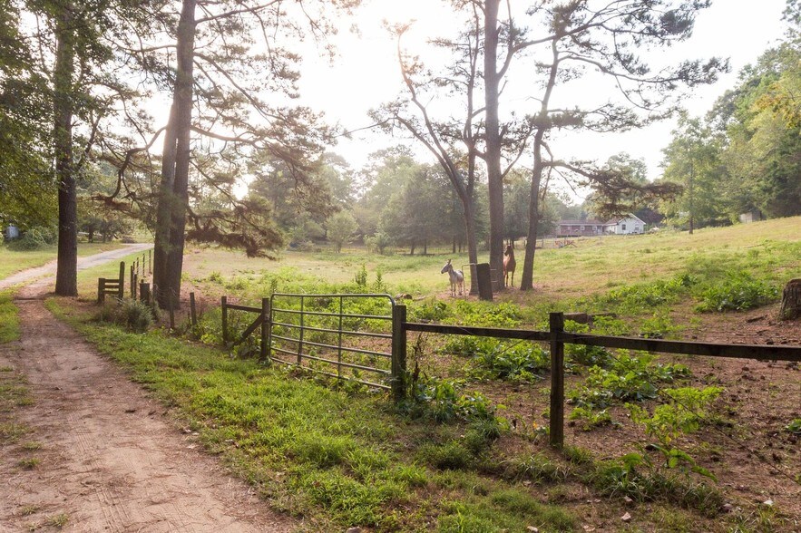 1093 Wiley Bridge Rd, Woodstock, GA 30188