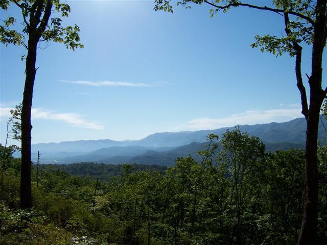 850 Bluff Rd, Marble, NC for sale Primary Photo- Image 1 of 15