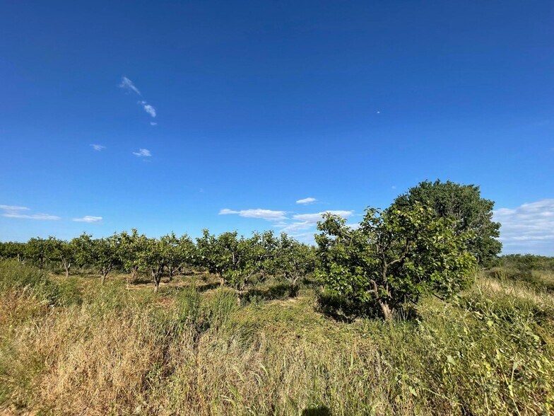 Land in València, Valencia for sale - Building Photo - Image 2 of 4